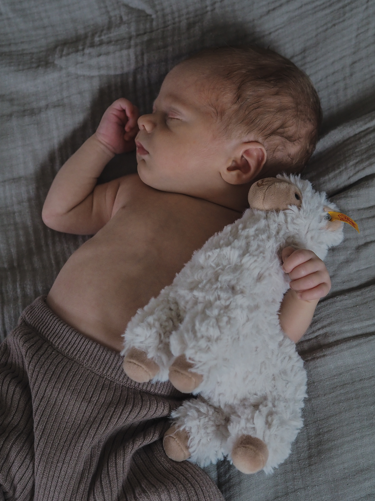 Neugeborenen Fotografie Herten - Neugeborenes mit Kuscheltier