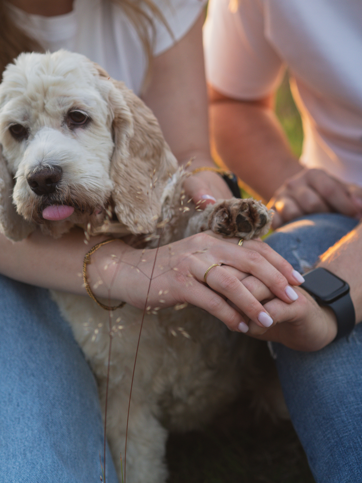 Pärchenshooting Herten - Hände eines Pärchens und die Pfote eines Hundes