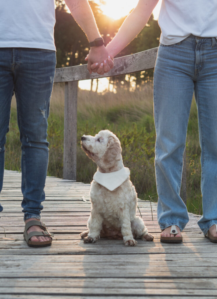 Hund sitzt zwischen Pärchen welches Händchen hält